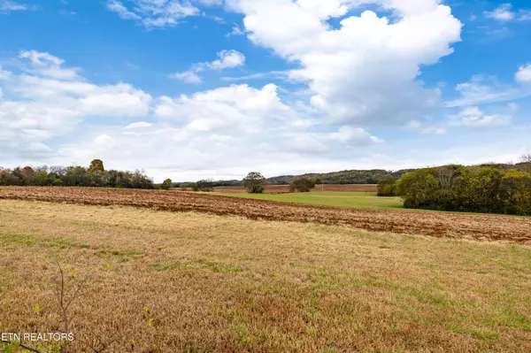 Niota, TN 37826,168 Crescent CIR