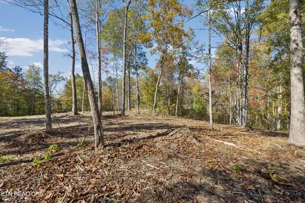 Robbins, TN 37852,Sheep Ranch Rd