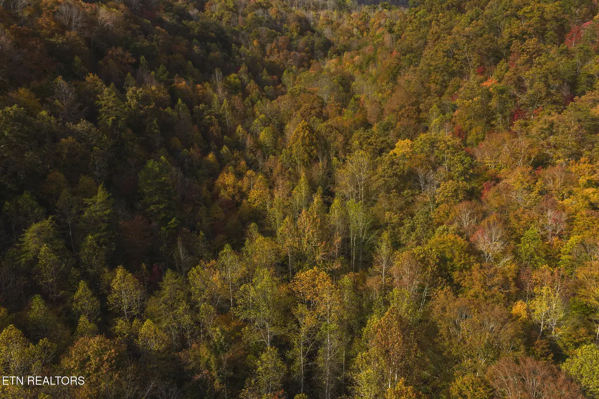 Kyles Ford, TN 37765,0 Livesay Chapel Rd