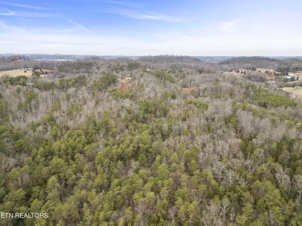 Maryville, TN 37803,3940 Allegheny Loop Rd