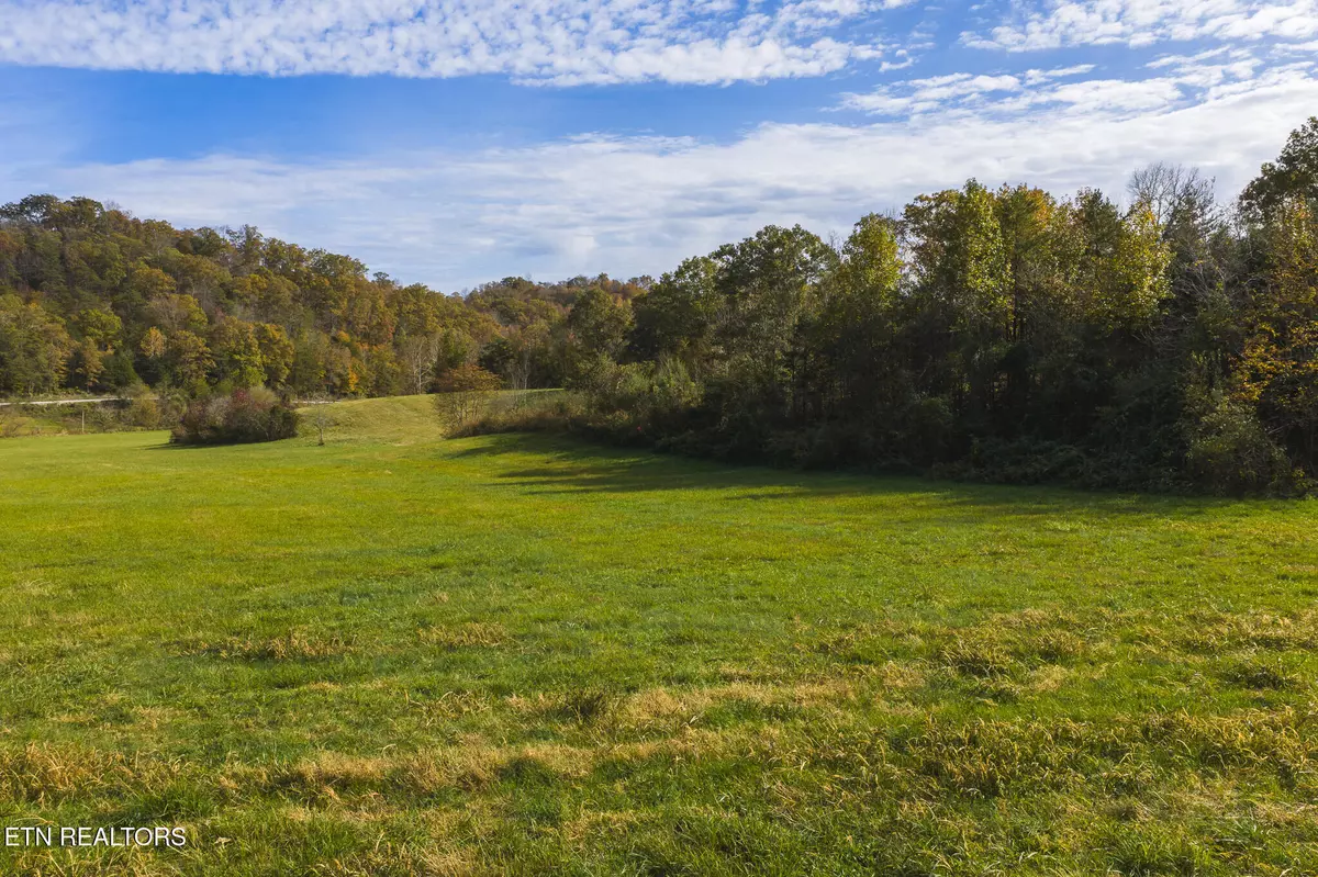 Blackwater, VA 24221,1619 Lynn Flanary Rd