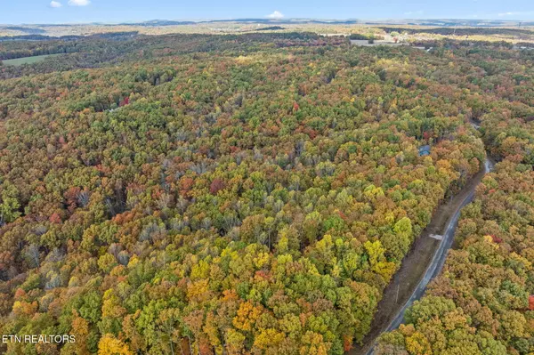 Monterey, TN 38574,461 Cove Rd