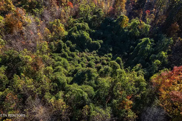 Oliver Springs, TN 37840,247 Mahoney Rd