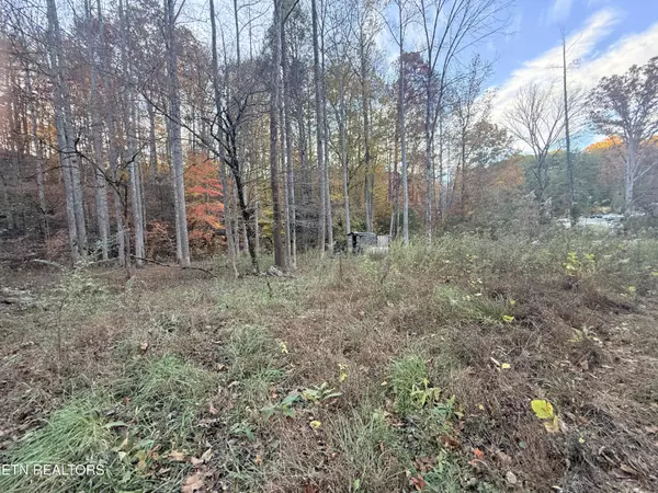 Newport, TN 37821,Lot 42/43 Deerfoot Rd