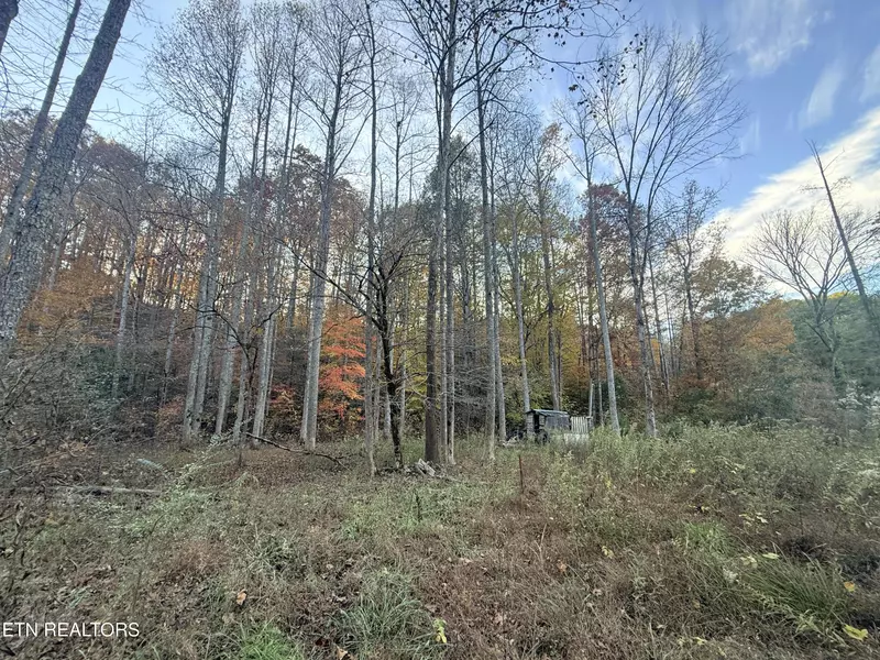 Lot 42/43 Deerfoot Rd, Newport, TN 37821