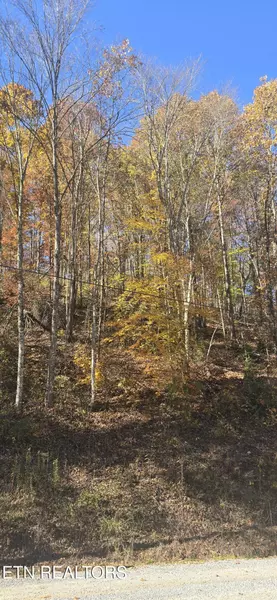 Emerald Springs LOOP, Sevierville, TN 37862