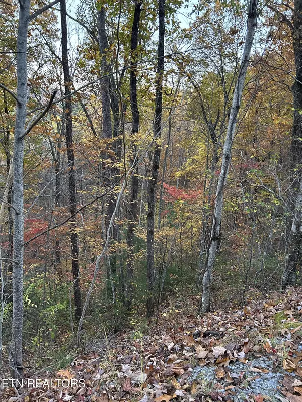 Sevierville, TN 37862,0001 Lot Sunset Rd