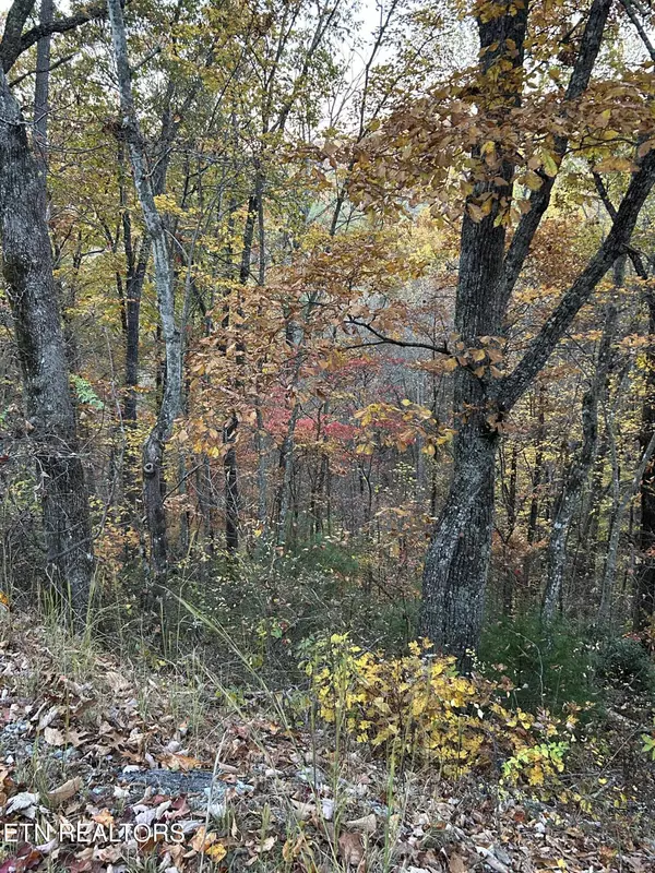 Sevierville, TN 37862,0001 Lot Sunset Rd