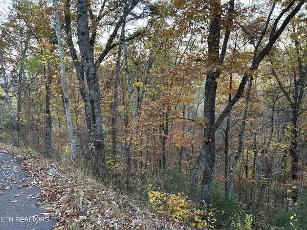 Sevierville, TN 37862,0001 Lot Sunset Rd