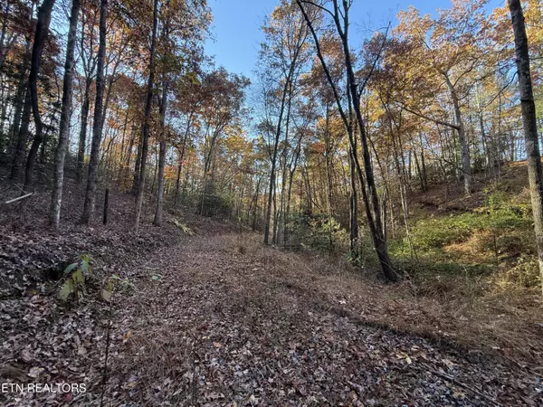 Turtletown, TN 37391,133 Megan Trace LN