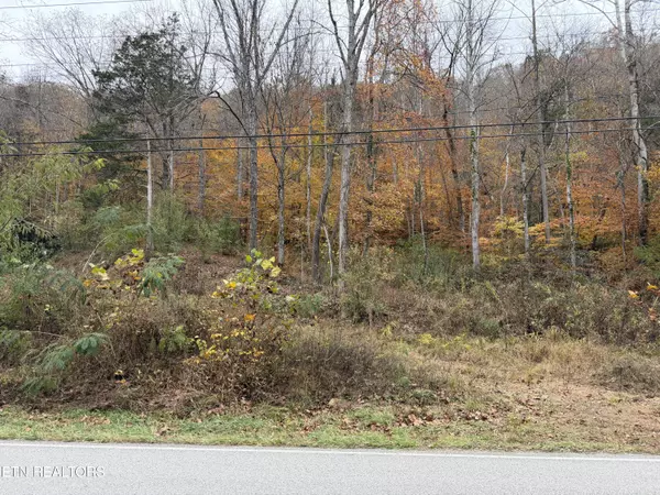 Stinking Creek Rd, Lafollette, TN 37766