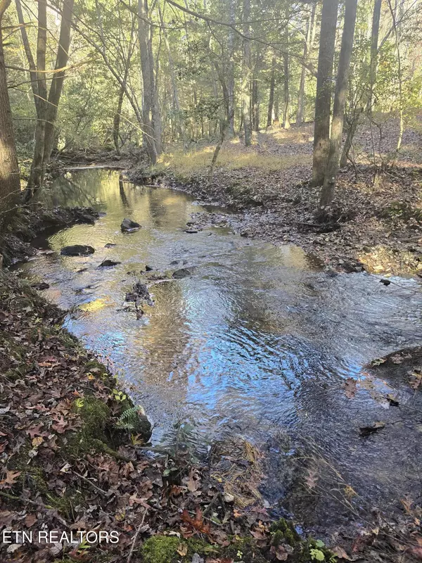 Jamestown, TN 38556,373 Georgee Rd