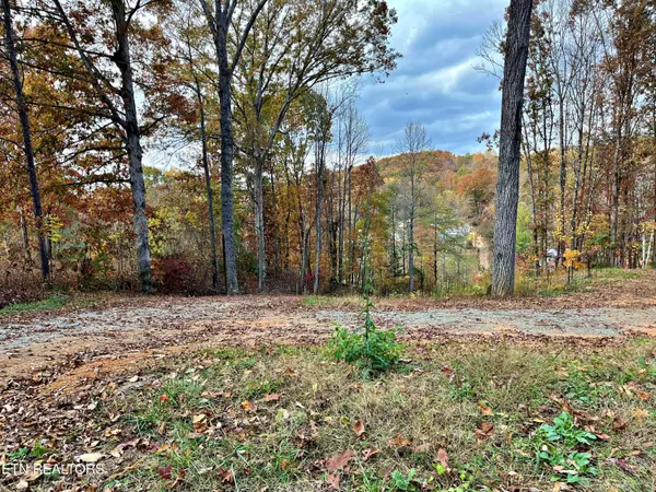 Ten Mile, TN 37880,575 JD Walden Road