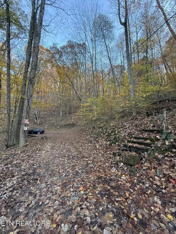 Caryville, TN 37714,White Oak LN