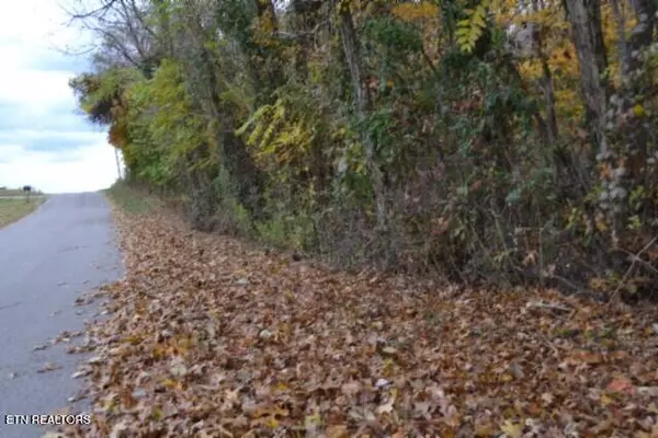 Celina, TN 38551,10.70ac Red Oak Ridge Rd