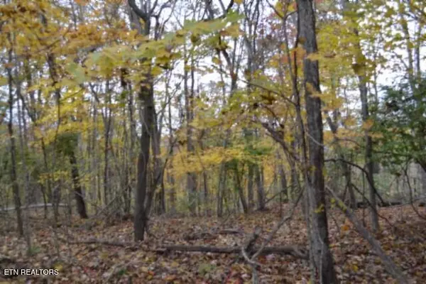 Celina, TN 38551,10.70ac Red Oak Ridge Rd