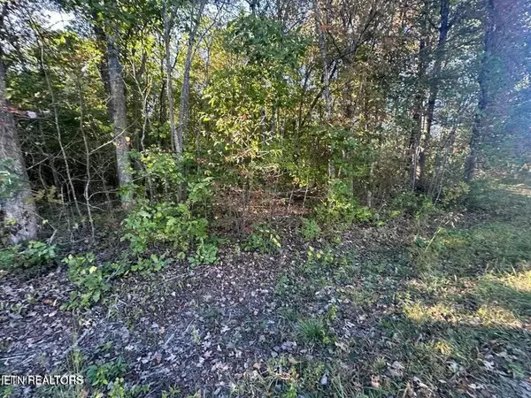 Jamestown, TN 38556,Falling Leaf Rd