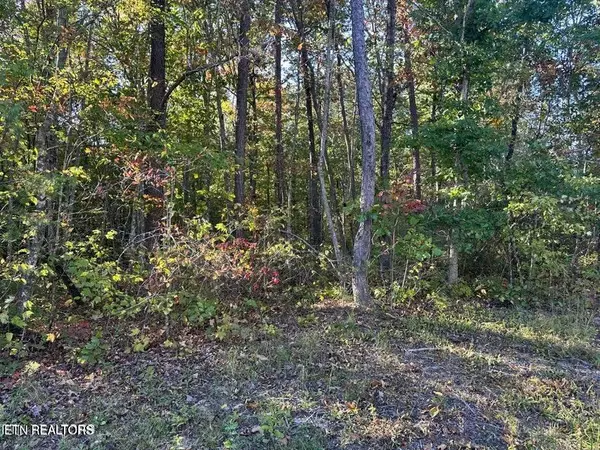 Jamestown, TN 38556,Falling Leaf Rd