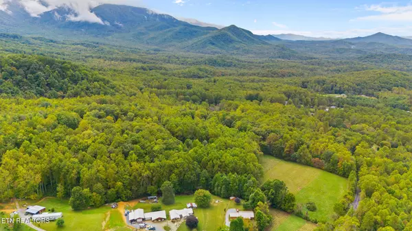 Cosby, TN 37722,Mountain Laurel Way WAY