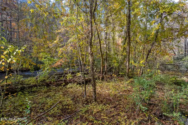 Tellico Plains, TN 37385,00 River Road