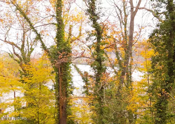 Knoxville, TN 37920,2365 & 0 Quiet Side LN