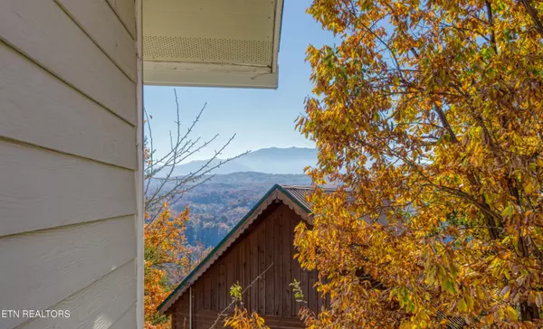 Sevierville, TN 37876,1814 Blue Tick WAY