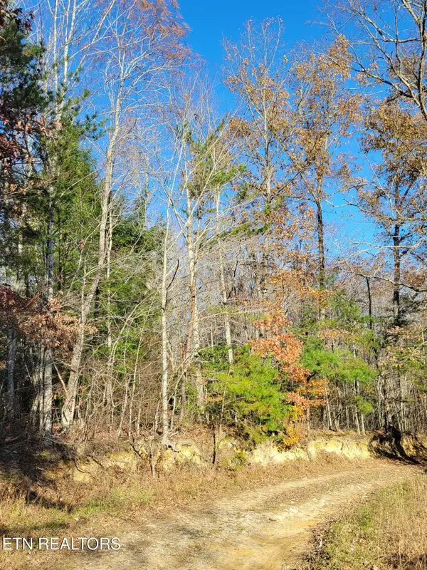 Oneida, TN 37841,Kidd Mill Rd