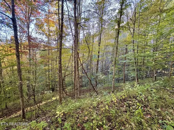 Bristol, VA 24202,0 Indian Creek LN