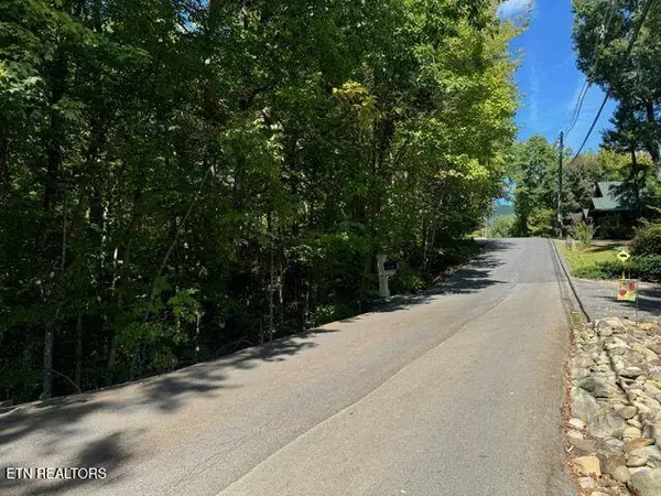 Gatlinburg, TN 37738,Lot 17 Deer Path LN