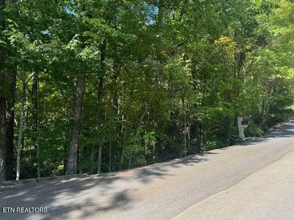 Gatlinburg, TN 37738,Lot 17 Deer Path LN