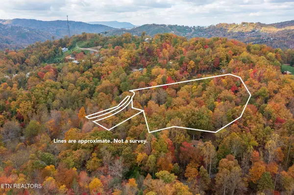 Gatlinburg, TN 37738,Lot 9 & 10 Laurel Mountain Rd