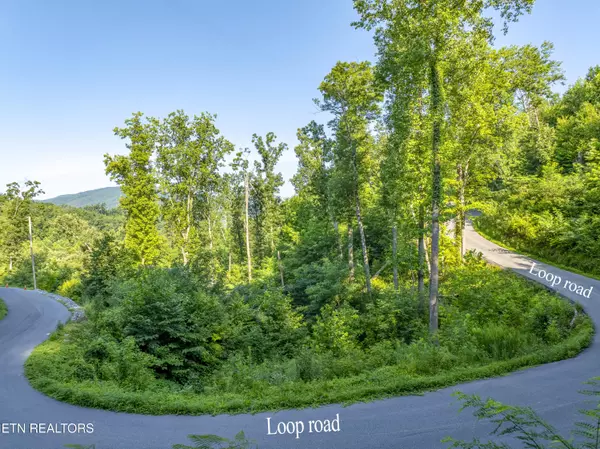 Loop Rd, Gatlinburg, TN 37738