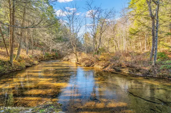 Deer Lodge, TN 37726,135 White Creek CT