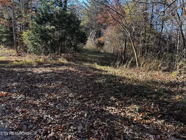 Tellico Plains, TN 37385,Shadden Road Lot 2