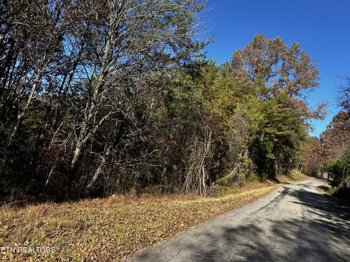 Tellico Plains, TN 37385,Shadden Road Lot 2