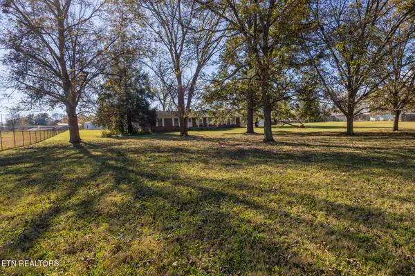 Athens, TN 37303,313 Bryson Street