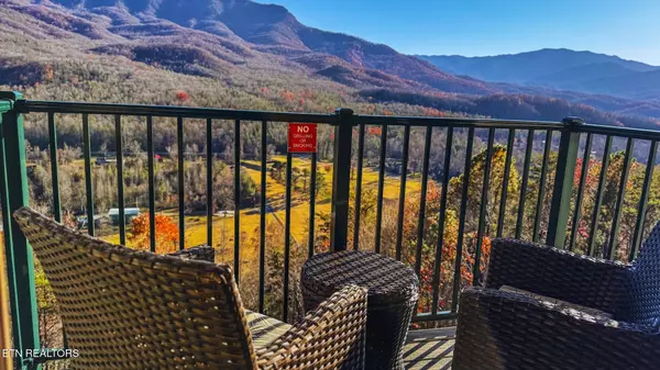 Gatlinburg, TN 37738,3710 Weber Rd #C308