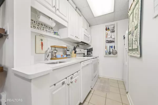 Gatlinburg, TN 37738,102 Baskins Creek Bypass #106