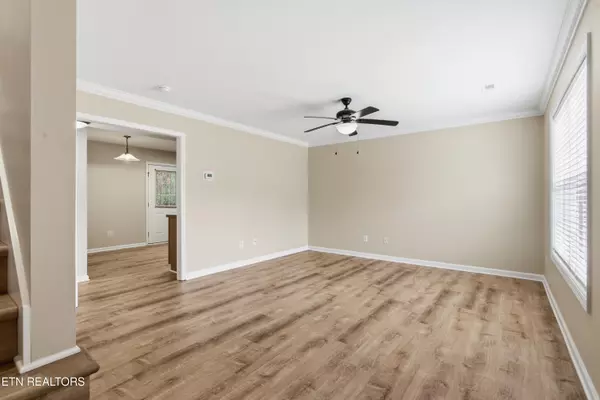 Knoxville, TN 37912,937 Micro WAY