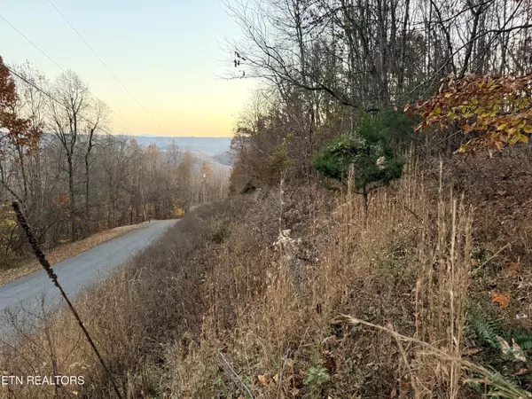 New Tazewell, TN 37825,Lot 214 Clinch View Rd