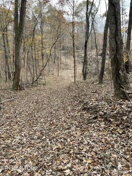 300 Ivy Moore CIR, Decatur, TN 37322