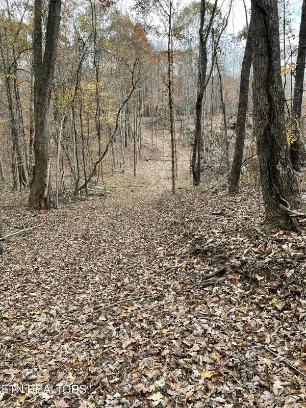 300 Ivy Moore CIR, Decatur, TN 37322