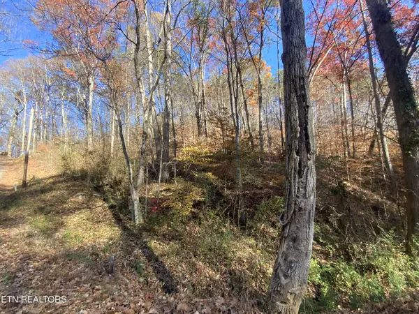 Rocky Top, TN 37769,Mountain Side LN