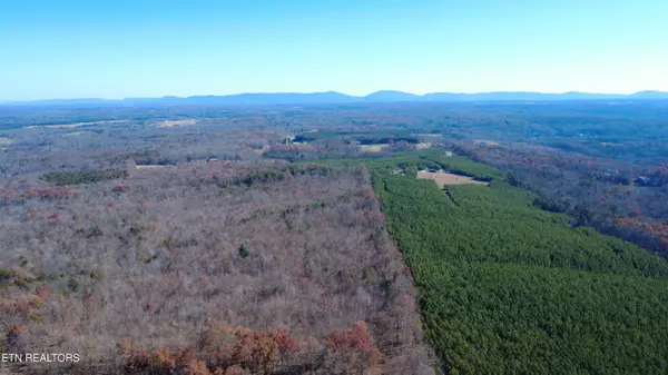 Crossville, TN 38572,9 Tresa St