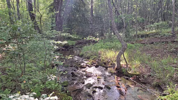 Rockwood, TN 37854,Lot 20 Airport Rd (PCA)