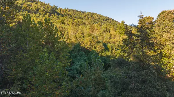 Sneedville, TN 37869,0 Black Valley Rd