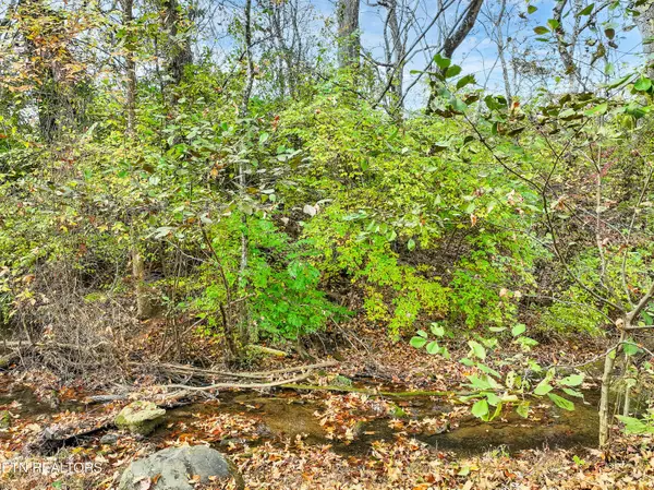 Maryville, TN 37801,921 Mercer DR