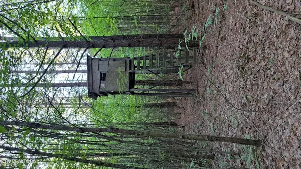 Rockwood, TN 37854,Lot 21 Airport Rd (PCA)