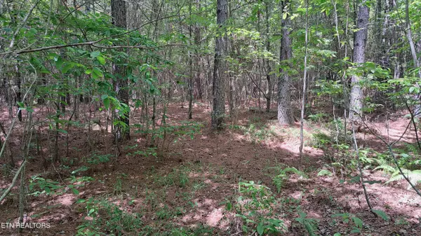 Rockwood, TN 37854,Lot 21 Airport Rd (PCA)