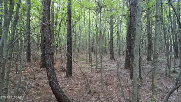 Rockwood, TN 37854,Lot 22 Airport Rd (PCA)